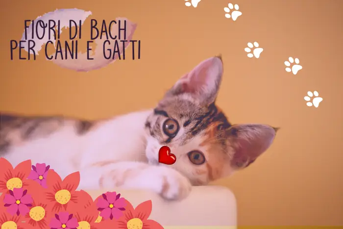 fiori di Bach per cani e gatti metodo originale